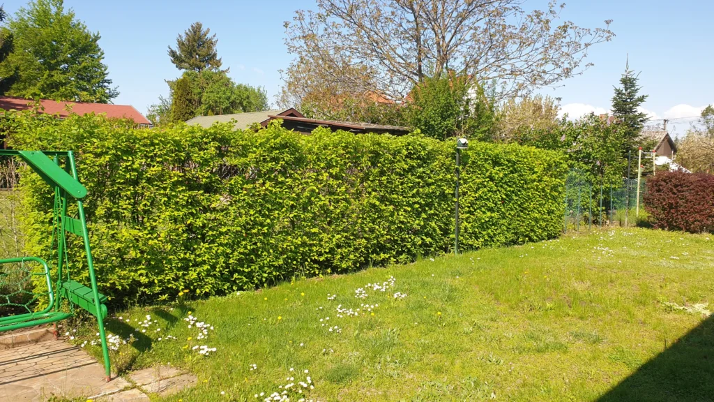 kertfenntartás-4